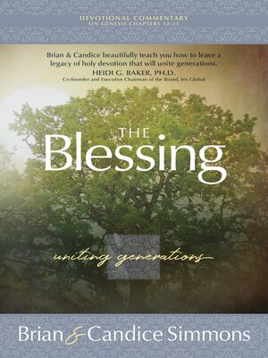 cover image of The Blessing